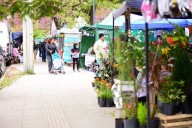 OPORTUNIDAD! Las Ferias de la Ciudad recorrerán plazas y espacios públicos
