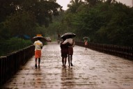 Weather update: Forecast for major South Indian cities on 6 October