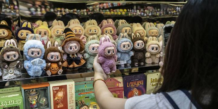 Labubu Bust: $9000 of Collectible Dolls Unearthed After Police Raid