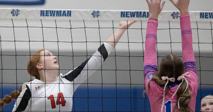 Shorthanded Erie-Prophetstown holds off Newman in bounce