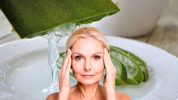Cómo usar la planta de aloe vera para eliminar las arrugas de la cara: una solución casera