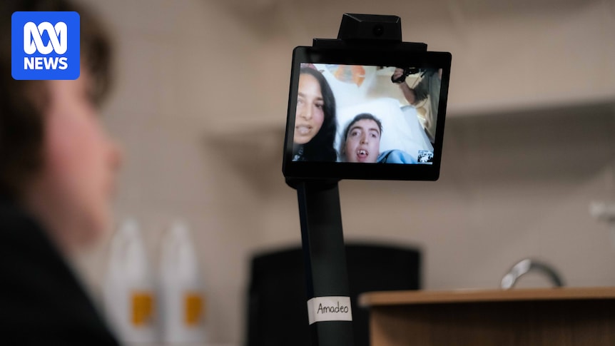 Tasmanian schools' virtual learning trial to tackle non
