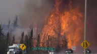 What insurance data reveals about how bad wildfires are getting