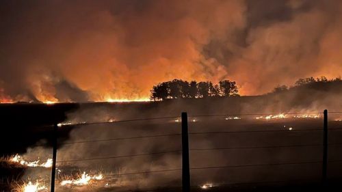 Incendio forestal afecta más de 16.000 hectáreas en el Chaco paraguayo