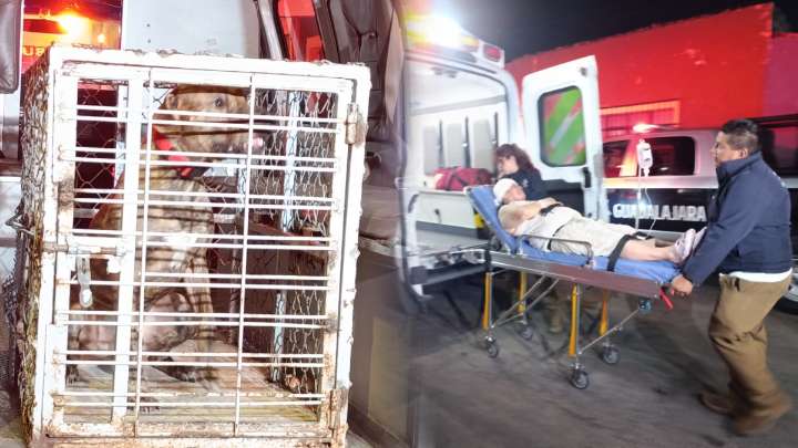Mujer sufre brutal ataque de un perro adoptado de raza pitbull; el animal fue resguardado y será observado en Guadalajara