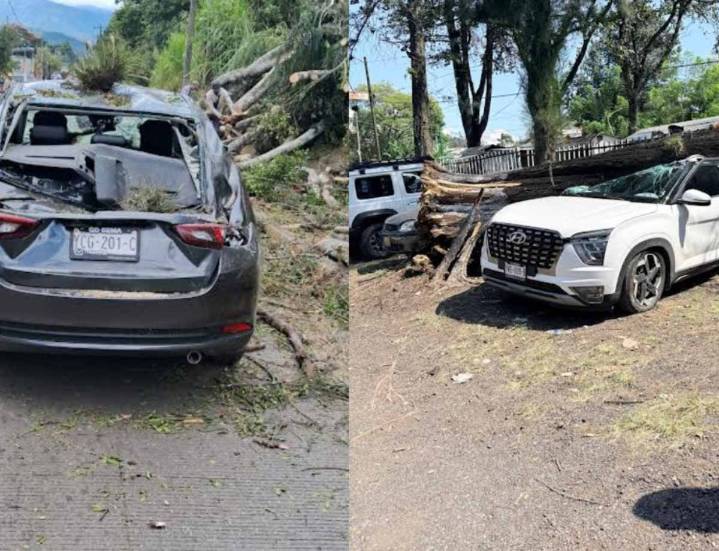 Frente frío 11 deja personas heridas en Veracruz; así como daños en casas, autos y negocios