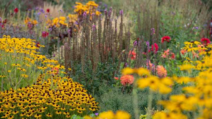 How To Turn Your Garden Into A Certified Wildlife Habitat (And Why You'd Want To)