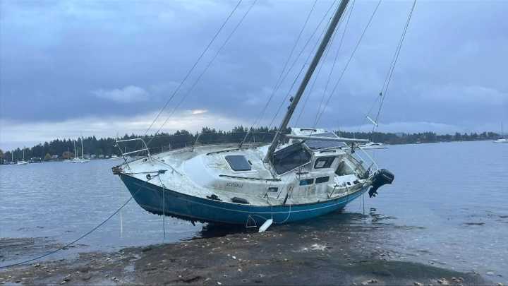 ‘It’s ridiculous’: Three derelict boats crash onto rocks in Nanaimo harbour