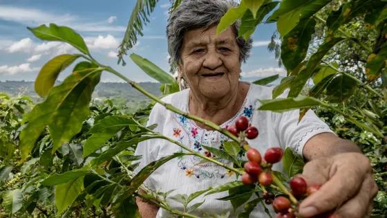 Mujeres rurales: sembrando igualdad, cosechando futuro