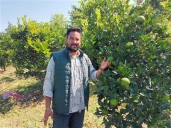 सफलता की कहानीः*एचपी शिवा परियोजना ने बदली धर्मपुर क्षेत्र के 41 किसानों की तकदीर*