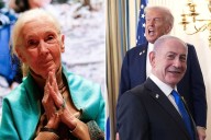 El último deseo de la activista Jane Goodall que se hizo viral