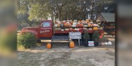 Grant Christmas Tree offers more than just Christmas tress to the community