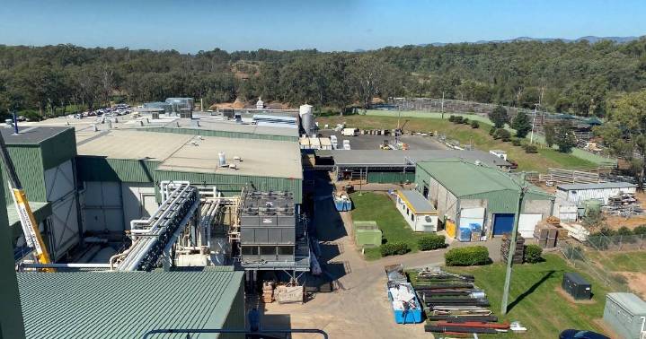 EC Throsby plans $10.5m abattoir expansion
