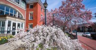 October events at Newburyport Public Library