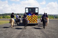 Police horses trained after officer loses leg at 2023 Nuggets parade