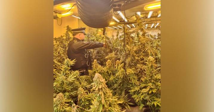 Police storm Greater Manchester street in major raid