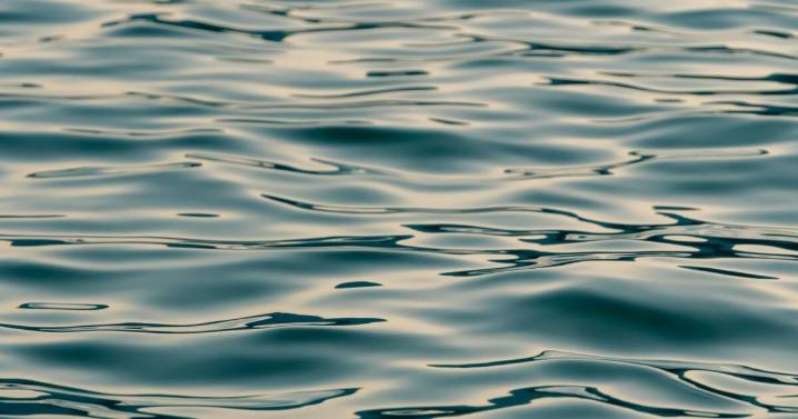 21-year-old Texan drowns while kayaking on Cheatham Lake Thursday