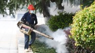 CDC warns of deadly chikungunya virus threat for traveling Americans