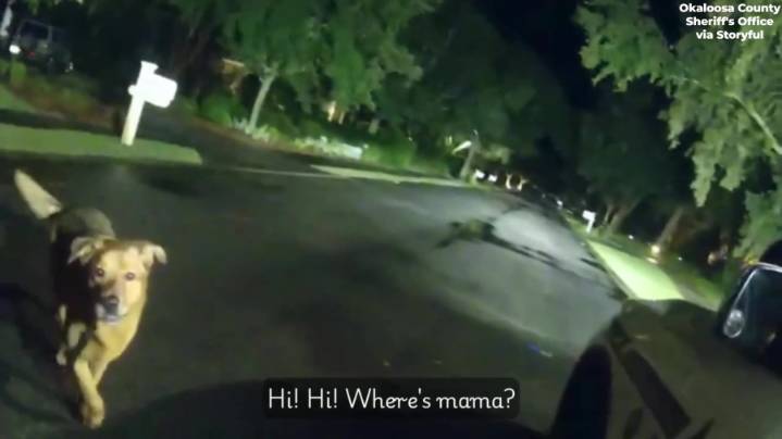Video: Dog leads deputy to missing woman