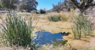 Hope trickles in for the mountains as the Frazier Park Pond replenishes