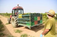 La venta de maquinaria agrícola nueva se incrementa un 24,5% hasta agosto