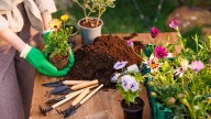 What Exactly Is Nostalgia Gardening (And Why You Should Try It)