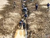 Continúan labor más de 4,800 navales en zonas afectadas de 3 estados