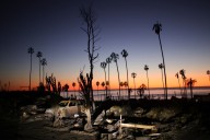 Authorities make an arrest related to deadly January wildfire that leveled LA neighborhood