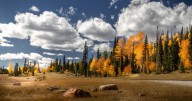 Dixie National Forest to start prescribed burns amid favorable weather