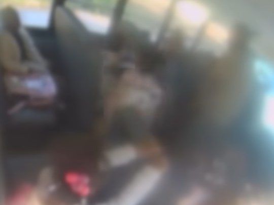 Video shows dad ordering daughter, 6, to punch girl
