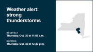 NY weather: Be prepared for strong thunderstorms in Delaware and Sullivan counties Thursday midday