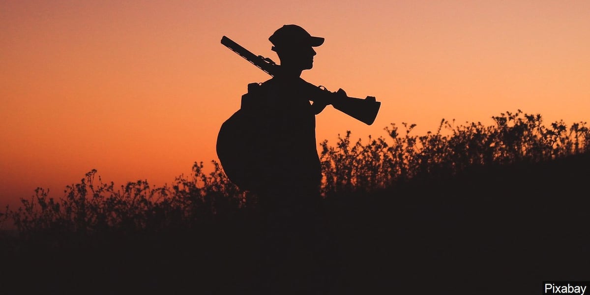 Georgia DNR encourages hunters to have deer tested for Chronic Wasting Disease in specific counties