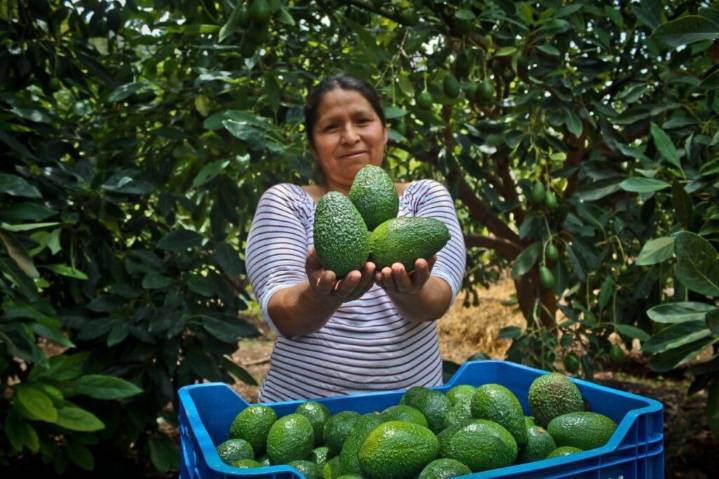 MIDAGRI fortalece las cadenas productivas para mejorar la alimentación de miles de familias peruanas