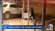 Los Angeles police take down smash-and-grab burglary ring dubbed 'The Shade Snatchers'