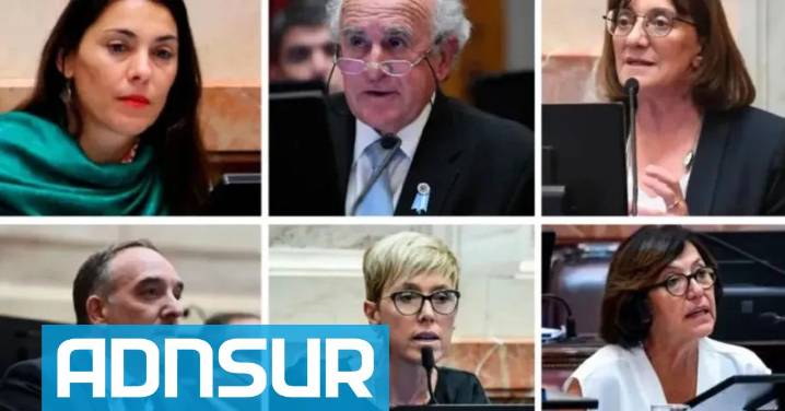 El Senado rechazó el veto de Milei: el detalle de la votación en Neuquén y Río Negro