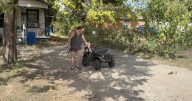 ‘We need help’: Marlin mother pleads for action as stray dogs threaten community