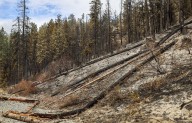 Blewett Pass reopens, but big wildfire still burns nearby