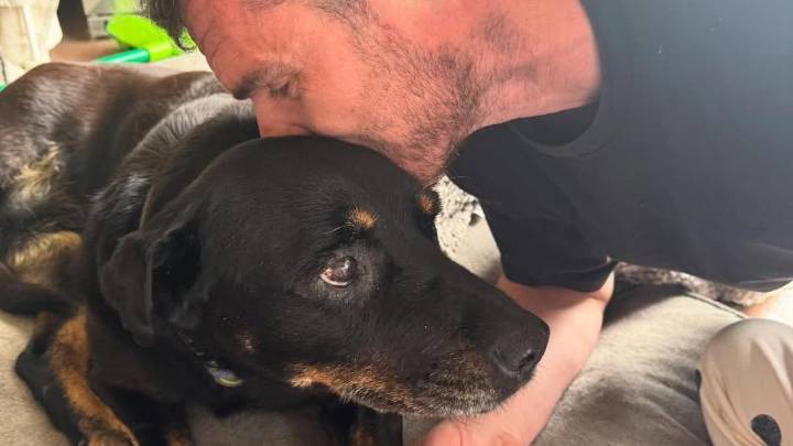 Luke and Dani Shuey bid emotional farewell to beloved dog Marley