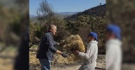 ¿Sabe usted que el alcalde de Manzaneda y su ex segundo coincidieron en una tarea solidaria?