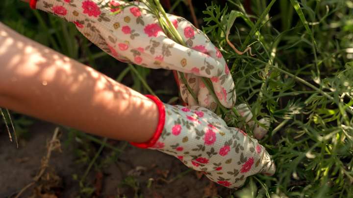 Kill weeds from growing between cracks with a simple homemade solution