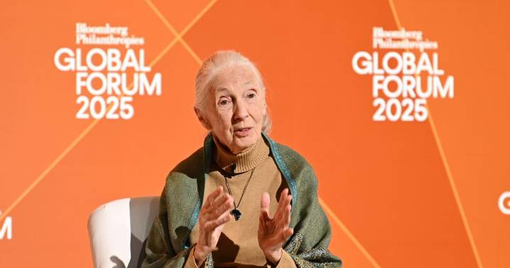 Jane Goodall, famous for her study of chimpanzees, has died