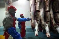 Niega SuKarne acusación de compra de ganado ilegal