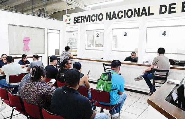 ‘Pelean’ desempleados por 50 vacantes en Vestis