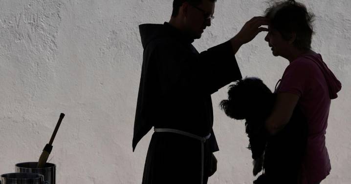 Brasil bendice mascotas, haitianos entierran a fallecidos y más fotos de la semana en América Latina