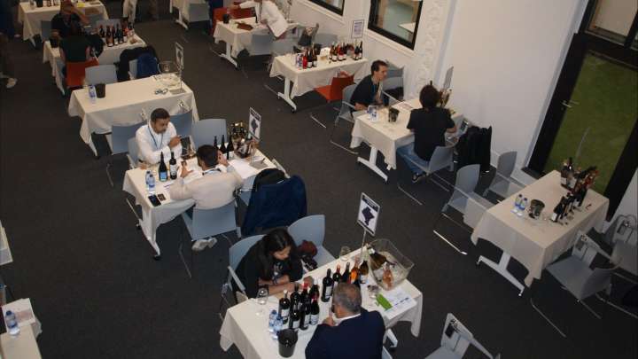El vino navarro busca nuevos mercados: las 13 bodegas navarras que seducen a los importadores