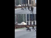 Border agents chase cyclist yelling, 'I'm not a US Citizen'