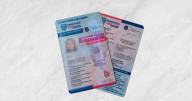 Licencia de conducir digital en Chihuahua 2025: ¿Es válida ante tránsito? Así puedes tramitarla y descargarla GRATIS en tu celular