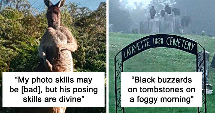 50 Times People Failed At Photographing Wildlife So Hilariously, They Just Had To Share These Pics Online (New Pics)