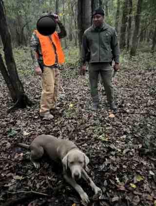 MDWFP K9 Officer Baylee Jones quickly finds lost hunter in Sharkey County
