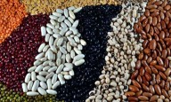 Odisha to promote cultivation of pigeon pea, black gram